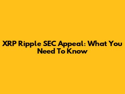 XRP Ripple SEC Appeal: What You Need To Know