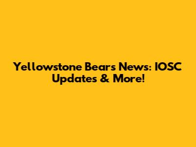 Yellowstone Bears News: IOSC Updates & More!