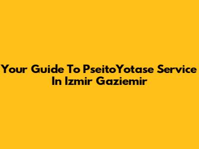 Your Guide To PseitoYotase Service In Izmir Gaziemir