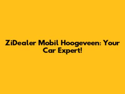 ZiDealer Mobil Hoogeveen: Your Car Expert!