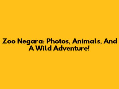 Zoo Negara: Photos, Animals, And A Wild Adventure!